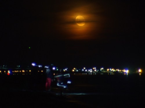 La playa de 'Living Fossil'.