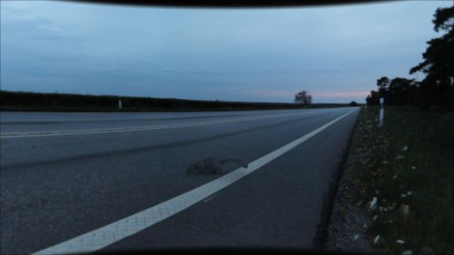 La ardilla, uno de los pocos elementos vivos de la película.