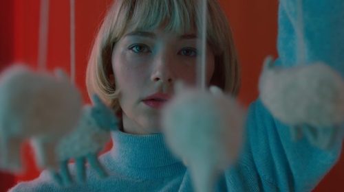 swallow-e1564765077686